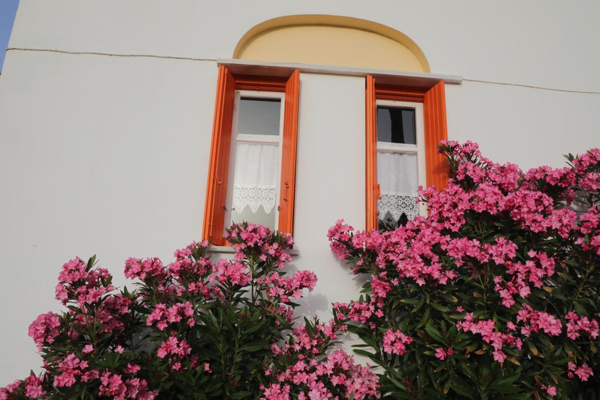 Panormos Apartments Exterior photo